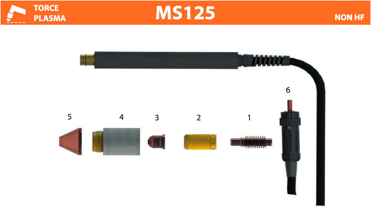LT81