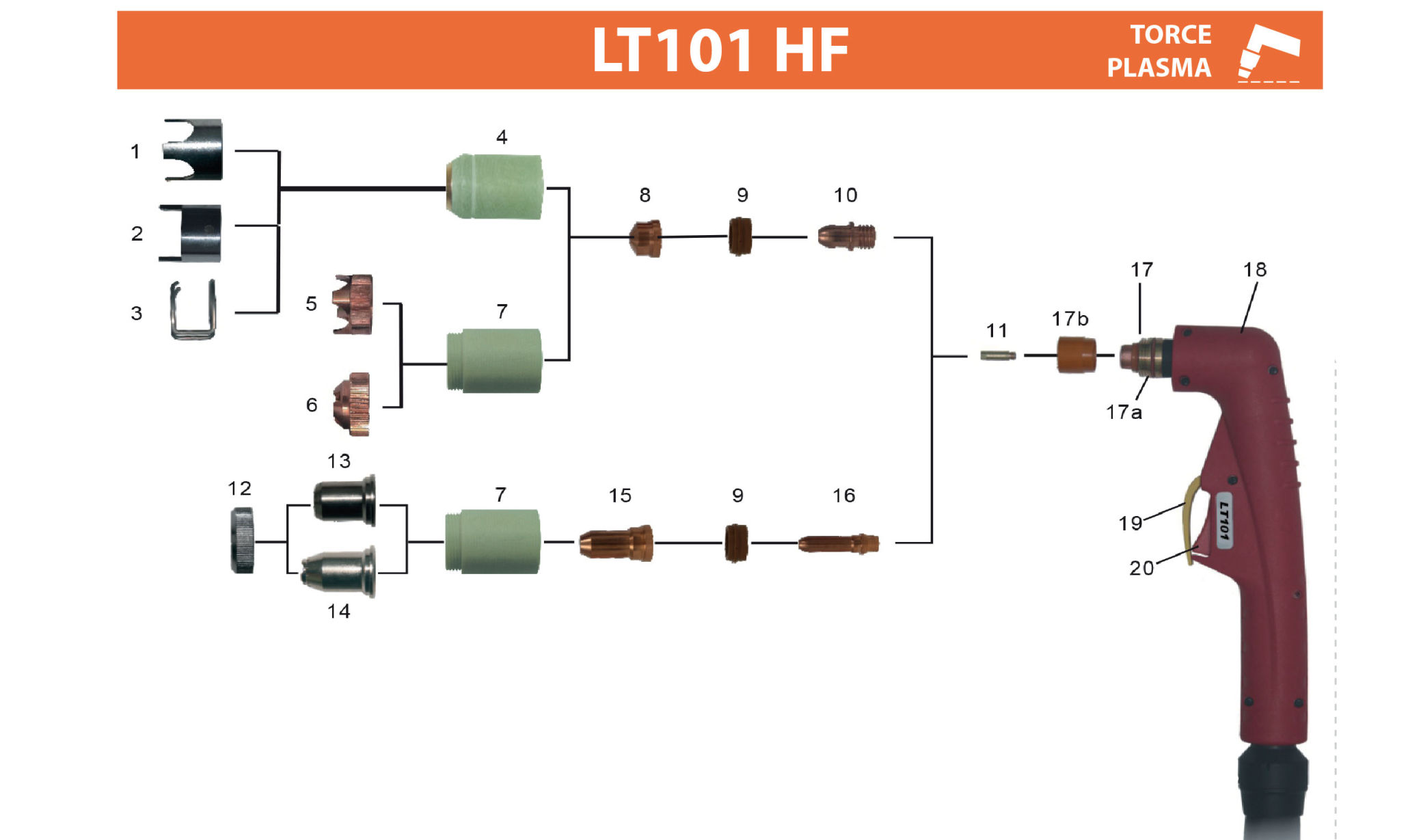 LT81