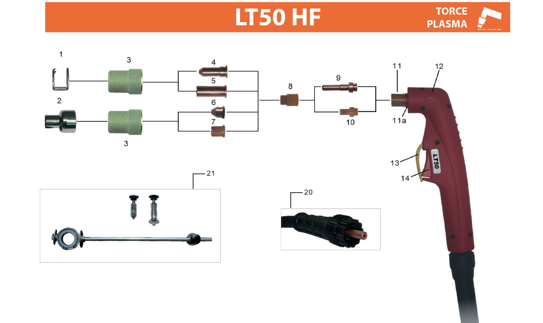 LT81