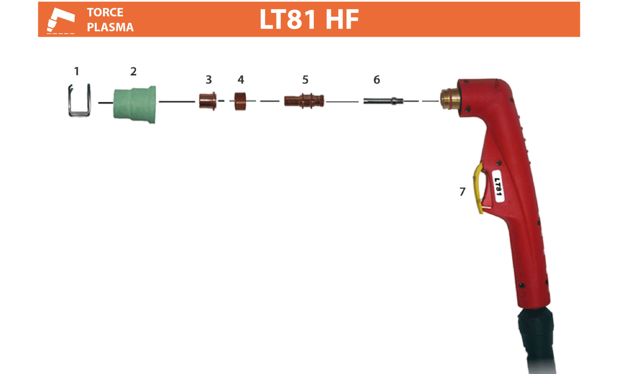LT81